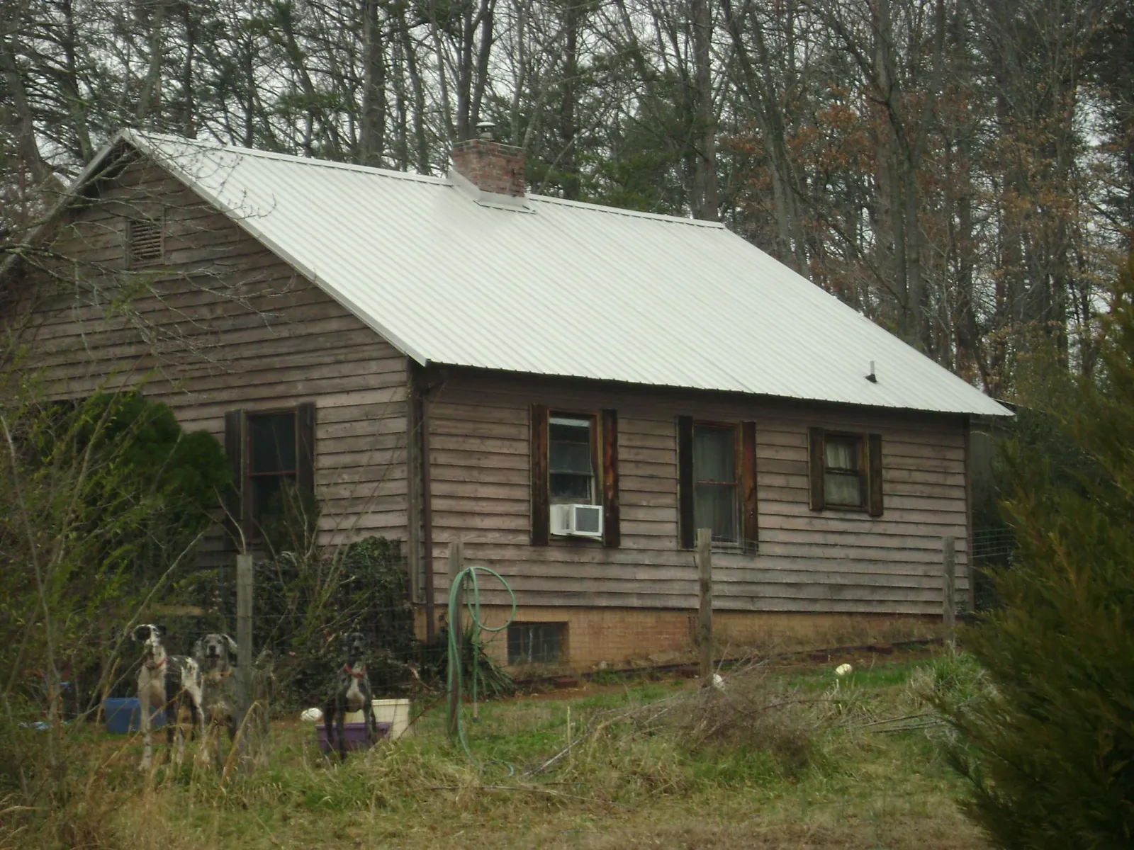 White metal roof on an old wood sided farmhouse, from a Asphalt Shingle Roof Repair job in Cayuga
